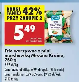 Biedronka Trio warzywne z mini marchewką Mroźna Kraina oferta