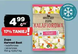 Netto Zupa Harvest Best oferta