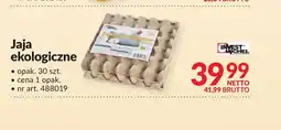 Makro Jaja Invest Michel oferta