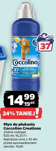 Netto Płyn do płukania Coccolino Creations oferta