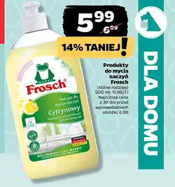 Netto Produkty do mycia naczyń Frosch oferta
