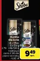 Carrefour Karma dla kota z kurczakiem drobiem indykiem Sheba Fresh & Fine oferta