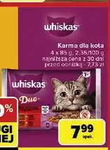 Carrefour Karma dla kota zestawy klasyczne Whiskas Duo oferta