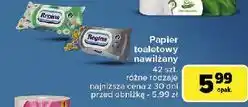 Carrefour Papier toaletowy nawilżany ultra med Regina oferta