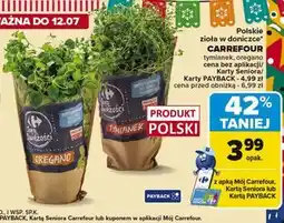 Carrefour Tymianek Carrefour Targ Świeżości oferta