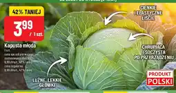 Polomarket Kapusta młoda POLOmarket oferta