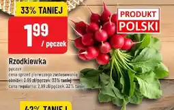 Polomarket Rzodkiewka POLOmarket oferta