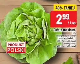 Polomarket Sałata masłowa Produkt Polski oferta