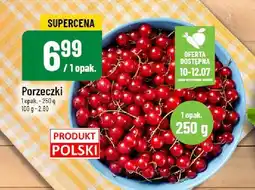 Polomarket Porzeczki Produkt Polski oferta