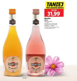 Lidl Wino Martini oferta