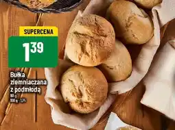 Polomarket Bułka ziemniaczana z podmłodą POLOmarket oferta