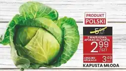 Wafelek Kapusta młoda Wafelek oferta