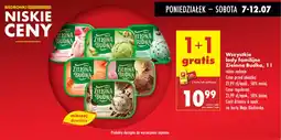 Biedronka Lody familijne Zielona Budka oferta