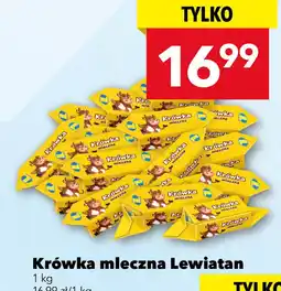 Lewiatan Krówka mleczna Lewiatan oferta