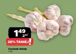Netto Czosnek młody Netto oferta