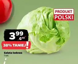 Netto Sałata lodowa Netto oferta
