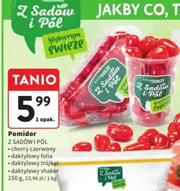 Intermarche Pomidor Z Sadów i Pól oferta