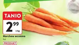 Intermarche Marchew wczesna Intermarche oferta