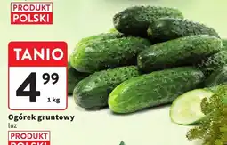 Intermarche Ogórek gruntowy Intermarche oferta