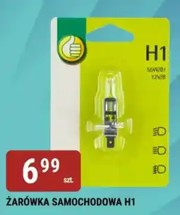 bi1 ŻARÓWKA SAMOCHODOWA H1 oferta
