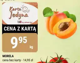 bi1 MORELA oferta