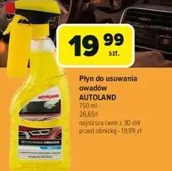 Carrefour Preparat do usuwania owadów Autoland oferta