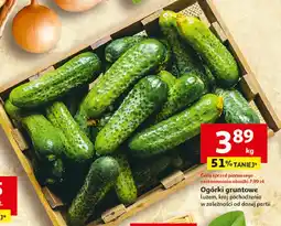 Auchan Ogórek gruntowy oferta