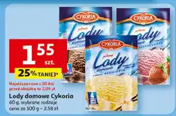Auchan Lody waniliowe Cykoria oferta