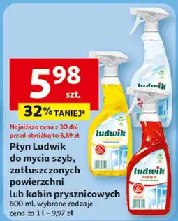 Auchan Płyn do mycia kabin prysznicowych active foam floral violet Ludwik oferta