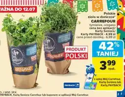 Carrefour Tymianek Carrefour Targ Świeżości oferta