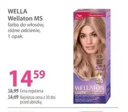 Hebe Farba do włosów Wella oferta
