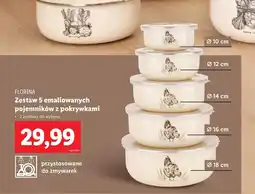 Lidl Zestaw pojemników Florina oferta