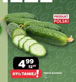 Netto Ogórek Polski oferta
