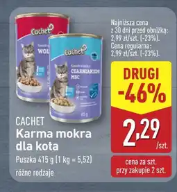 ALDI Mokra karma dla kota Cachet oferta