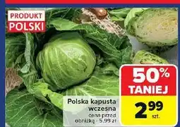 Carrefour Kapusta wczesna polska oferta