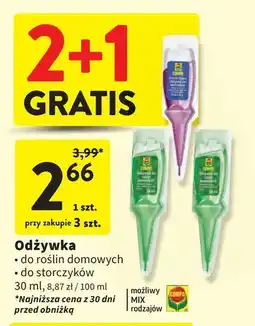 Intermarche Odżywka do storczyków orchid power Compo oferta