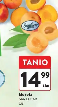 Intermarche Morele oferta