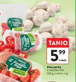 Intermarche Pieczarki Z Sadów I Pól oferta