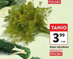 Intermarche Koperek polski oferta