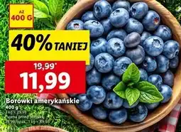 Lidl Borówki amerykańskie oferta