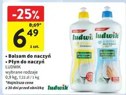 Intermarche Balsam do naczyń aloesowy Ludwik oferta