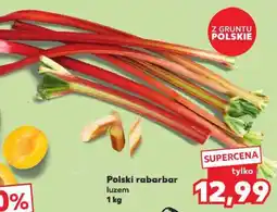 Kaufland Polski rabarbar luzem 1 kg oferta