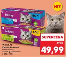 Kaufland WHISKAS Karma dla kotów oferta
