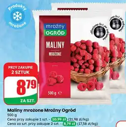 Dino Maliny mrożone Mroźny Ogród oferta
