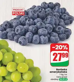 Dino Borówka amerykańska Dino oferta