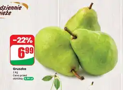 Dino Gruszka Dino oferta