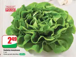 Dino Sałata masłowa Dino oferta