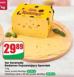 Dino Ser Serenada Radamer Dojrzewający Spomlek oferta
