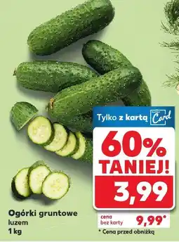 Kaufland Ogórki gruntowe 1 kg Kaufland oferta