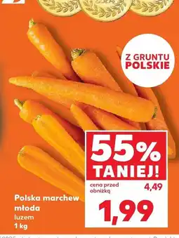Kaufland Marchew młoda Kaufland oferta